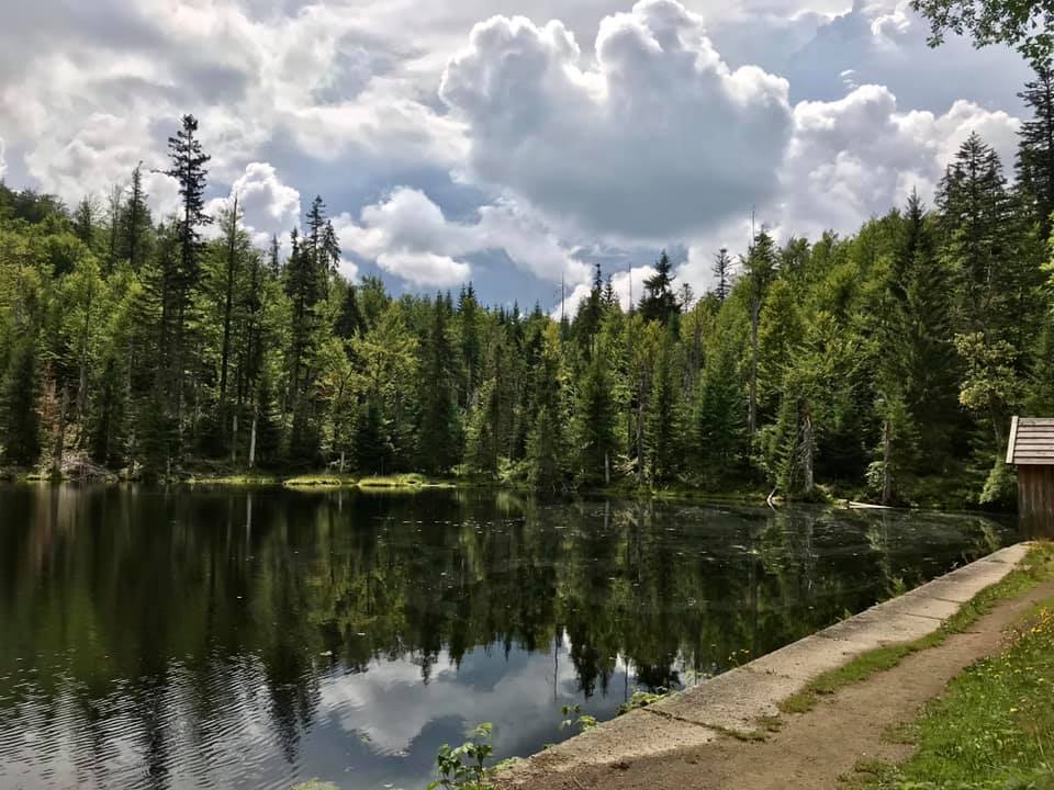 Wanderwochen an der Steinklamm